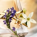 Libre Eau De Parfum 150 Vaporizador 2