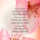 L'Occitane Fleurs de Cerisier Body Set 3