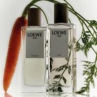 Loewe 001 Man Eau De Parfum 50Ml 4