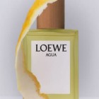 Loewe Agua 100Ml 4