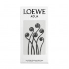 Loewe Agua 100Ml 2