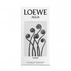 Loewe Agua Miami 100Ml 2