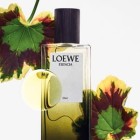 Loewe Esencia Elixir 50ml 3