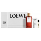 Loewe Solo Cedro Lote 100Ml