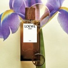 Loewe Solo Elixir 100ml 3