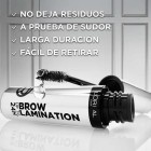 L'Oreal Brown Lamination 2