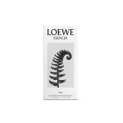 Loewe Esencia Elixir 50ml 1