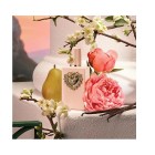My Devotion Intese 100ml 2