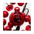Nina Rouge Crush 80ml 2