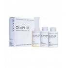 Olaplex Traveling Stylist Kit