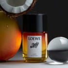 Paula's Ibiza Cosmic 100ml 3