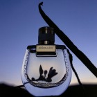 Chloé Nomade Nuit d'Egypte 75ml 2