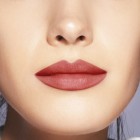 Shiseido Mordernmatte Powder 525 2