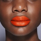 Shiseido Mordernmatte Powder 528 2