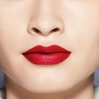 Shiseido Mordernmatte Powder 529 2