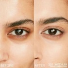 Shiseido Synchro Skin Radiant Lifting Concealer 301 1
