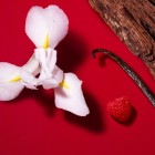 Si Passione Red Bloom 100ml 2