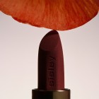 Sisley Phyto-Rouge Velvet 31 Orange Fawn 2
