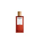 Loewe Solo Cedro 100Ml 0