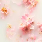 The Ritual Sakura Whipped Body Cream 220ml 2